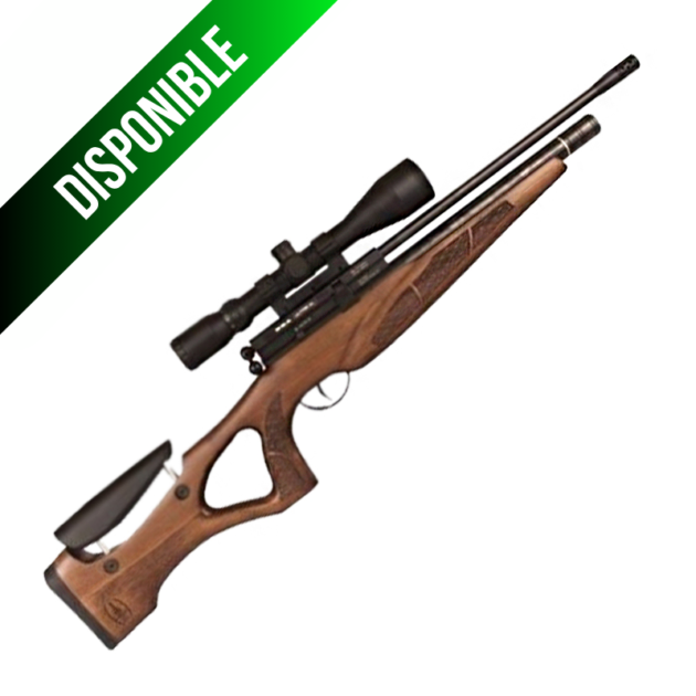 BSA Brigadier 5,5/18"/10 Tiros